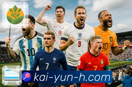 开云平台生态图